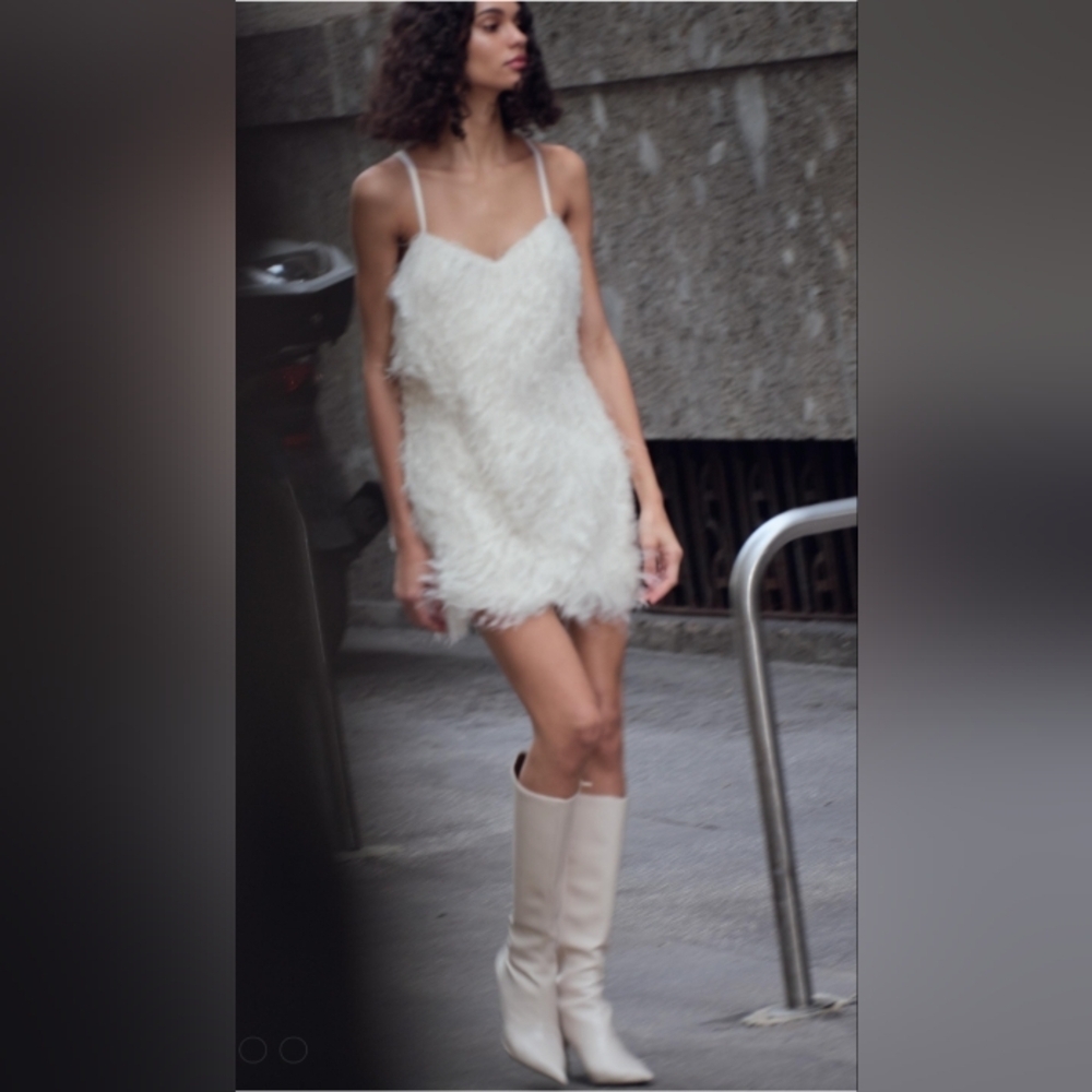 Zara Fringed Mini Dress With Metallic Threads